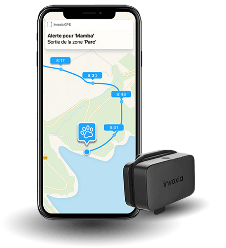 application-capteur-invoxia-pet-tracker-gps