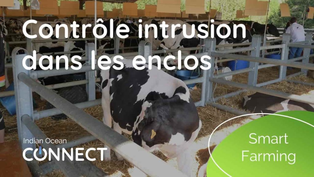 smart-farming-contrôle-intrusion-enclos