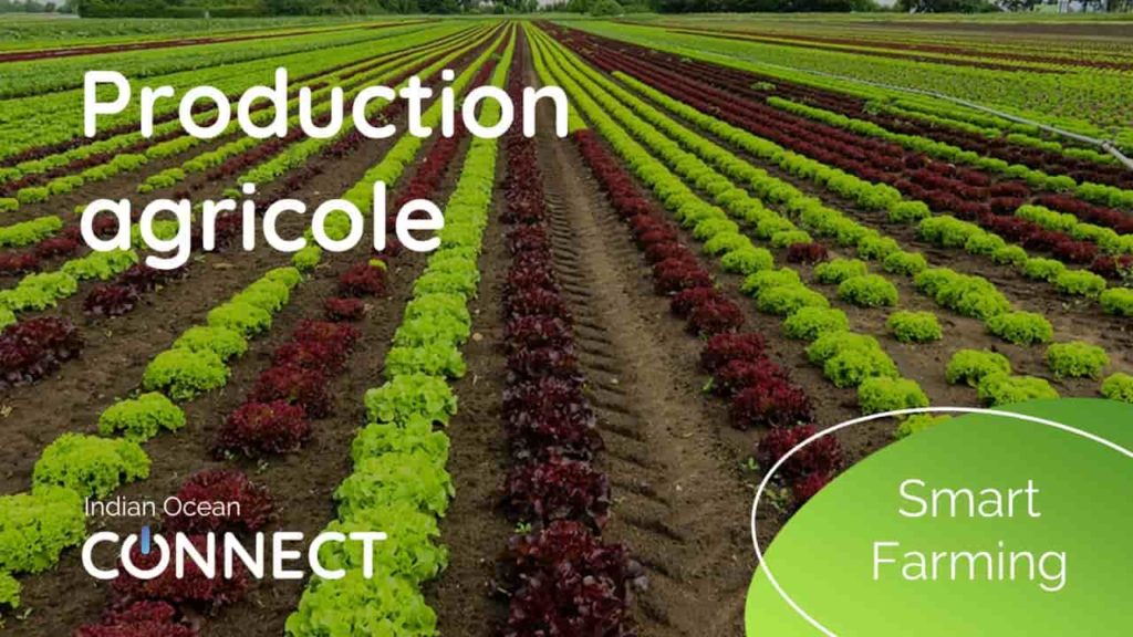 smart-farming-production-agricole