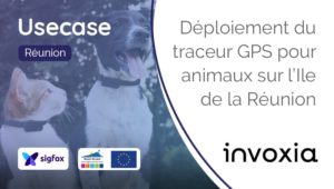 Traceur-Gps-Animaux-Pet-Tracker-Invoxia-Sigfox