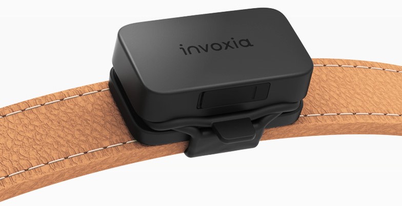 traceur GPS d'Invoxia pour chiens et chats disposé sur un collier pour animal.