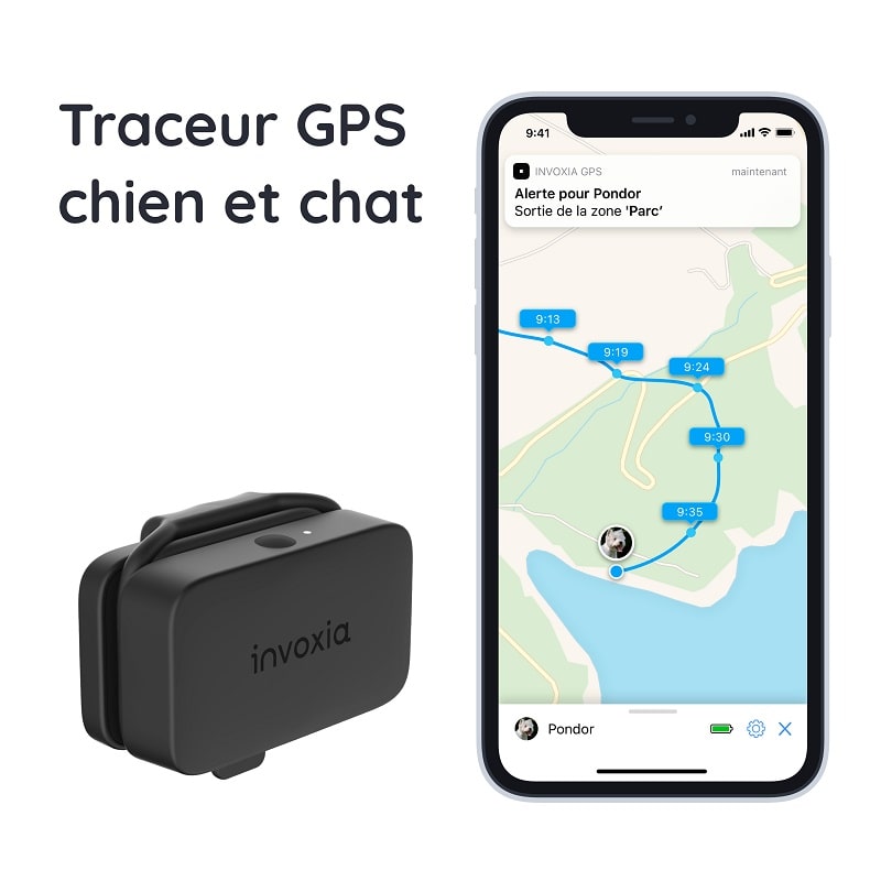 Mini GPS pour chiens et chats - Chiens & Chats Boutique