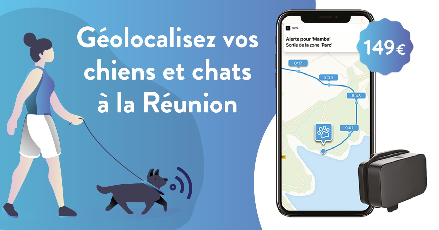 Mini Traceur GPS Animaux, GPS Chien, Traceur GPS Chien Chat Animal
